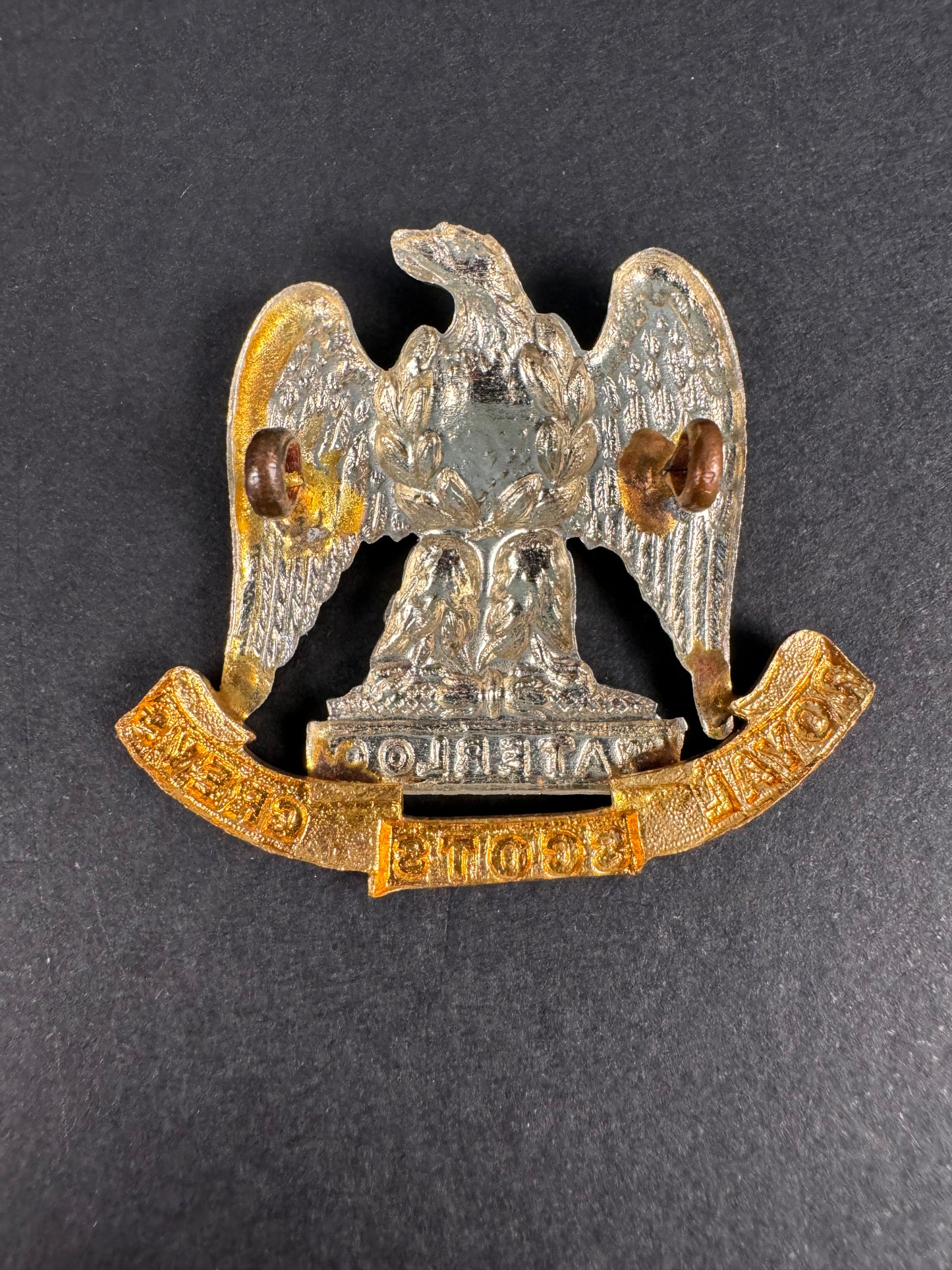 Photo 2 of WW1 British Army Royal Scots Greys Cap Badge - collectible militaria item
