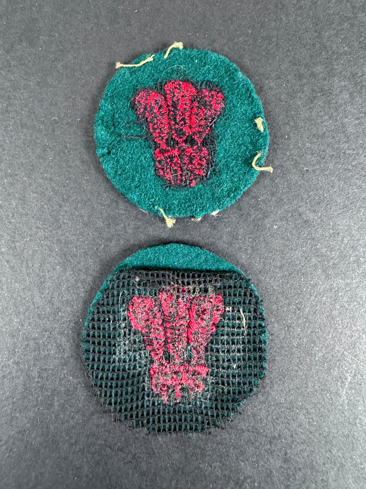 WW2 British Army North Wales District Western Command Formation Signs (Pair)