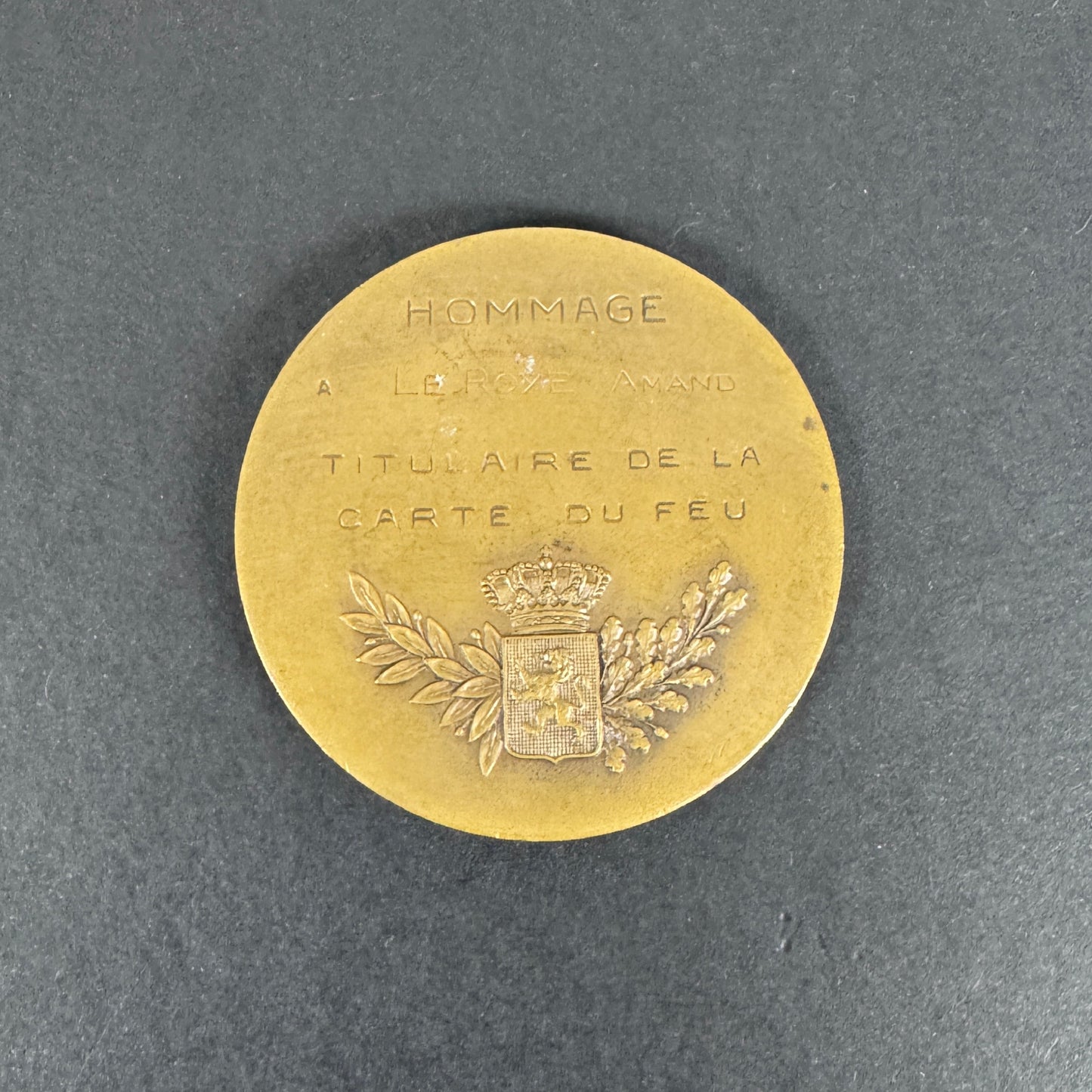 WW1 Belgian Army Battle of Yser Flanders Fire Card Medal Plaque