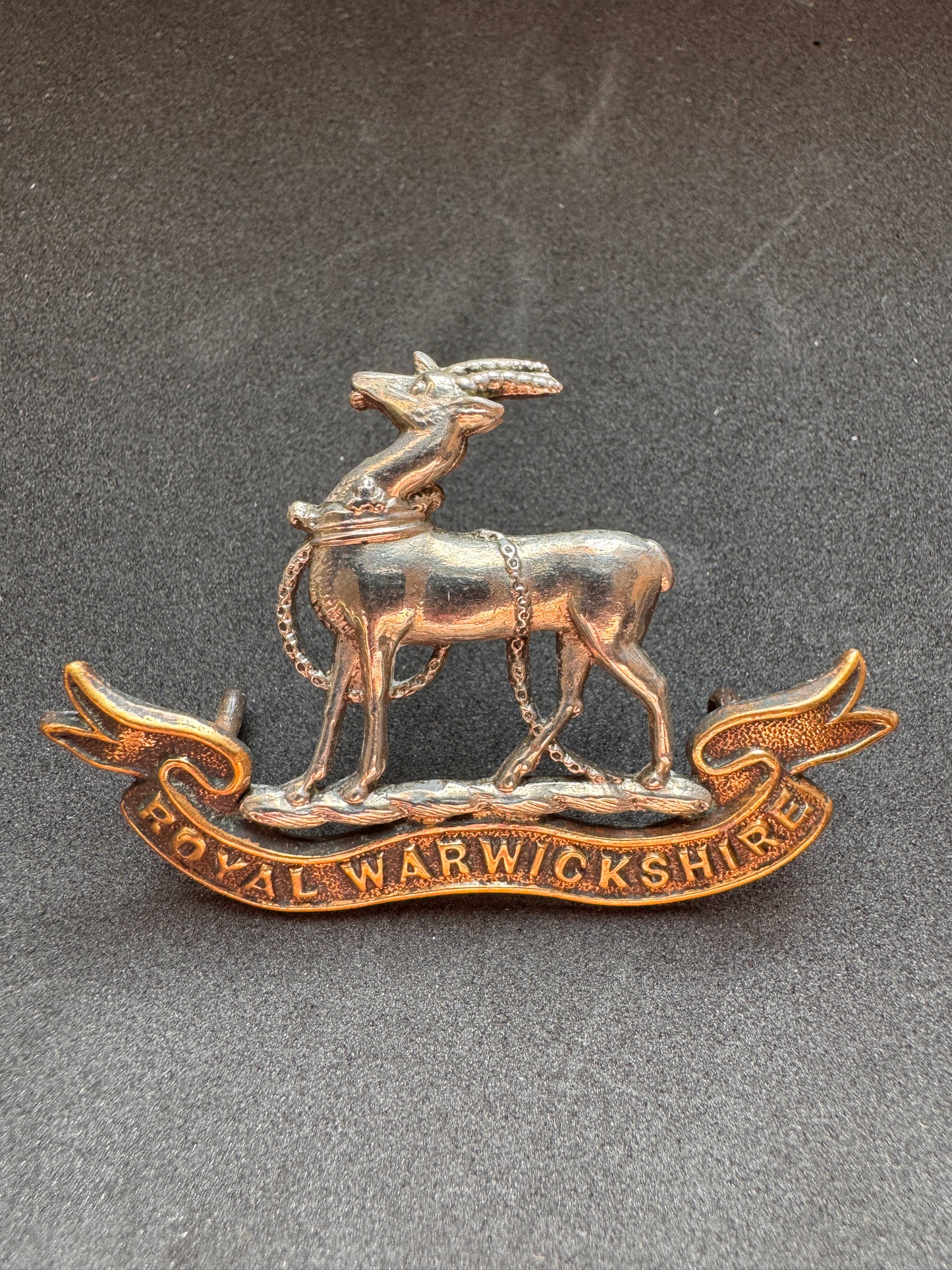 Photo 1 of Victorian British Army Royal Warwickshire Regiment Cap Badge - collectible militaria item