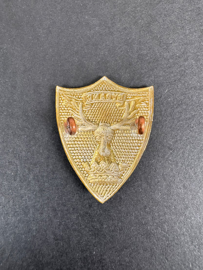 Image of product: british army gordon highlanders sporran badge