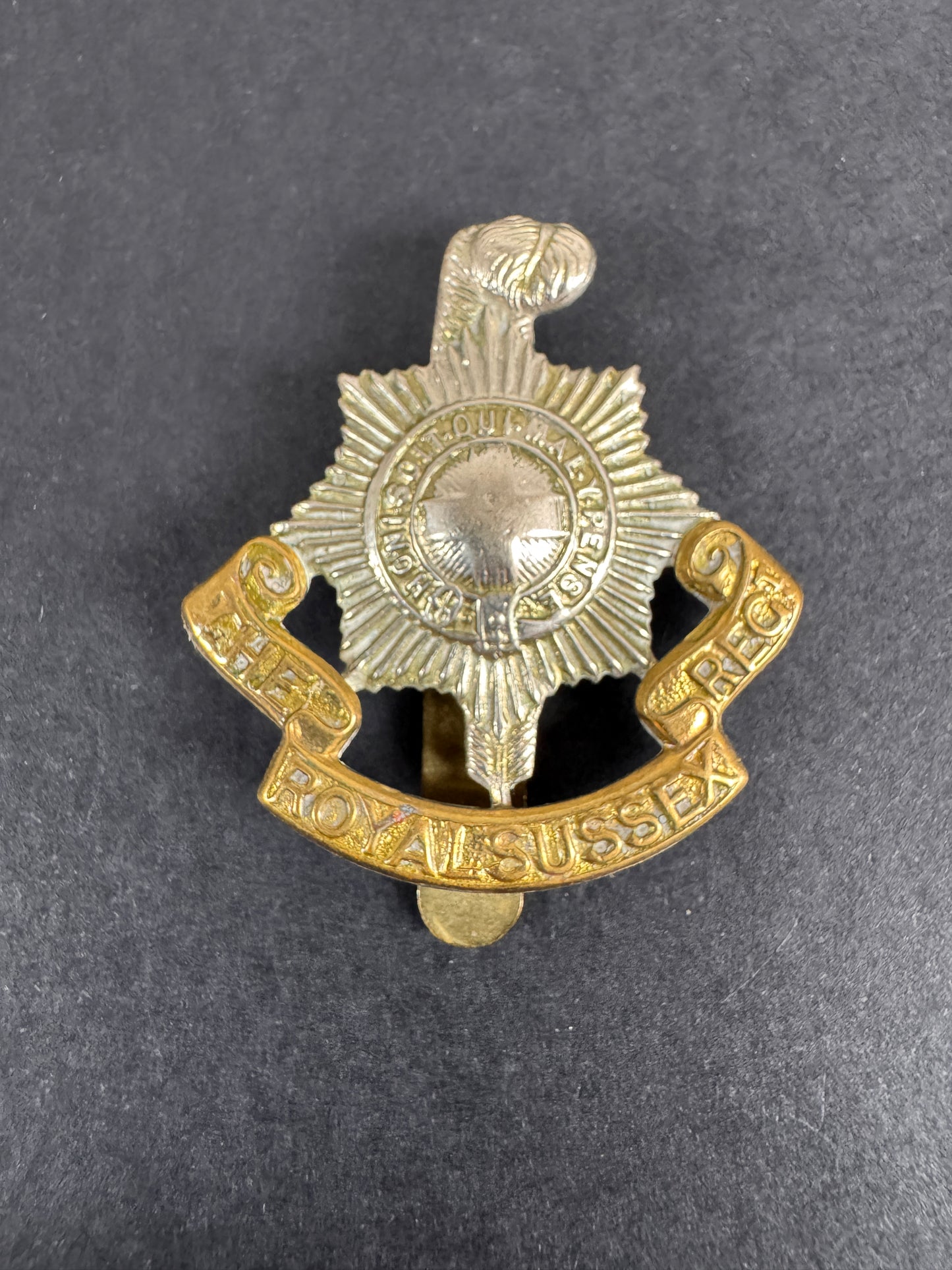 Image of WW2 British Army Royal Sussex Regiment Cap Badge