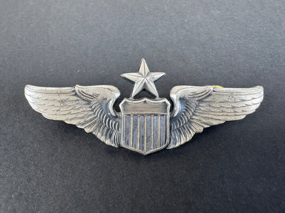 Collezione nominativa del distintivo del pilota principale dell'aeronautica militare degli Stati Uniti (USAF)