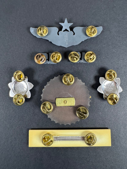 Collezione nominativa del distintivo del pilota principale dell'aeronautica militare degli Stati Uniti (USAF)