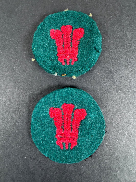 WW2 British Army North Wales District Western Command Formation Signs (Pair)