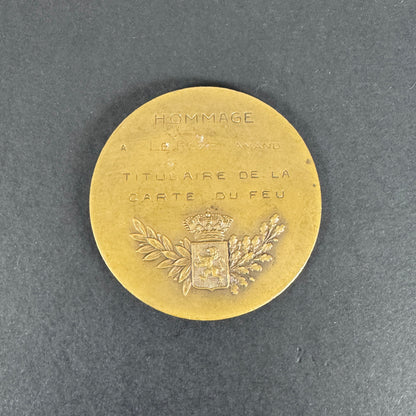 WW1 Belgian Army Battle of Yser Flanders Fire Card Medal Plaque