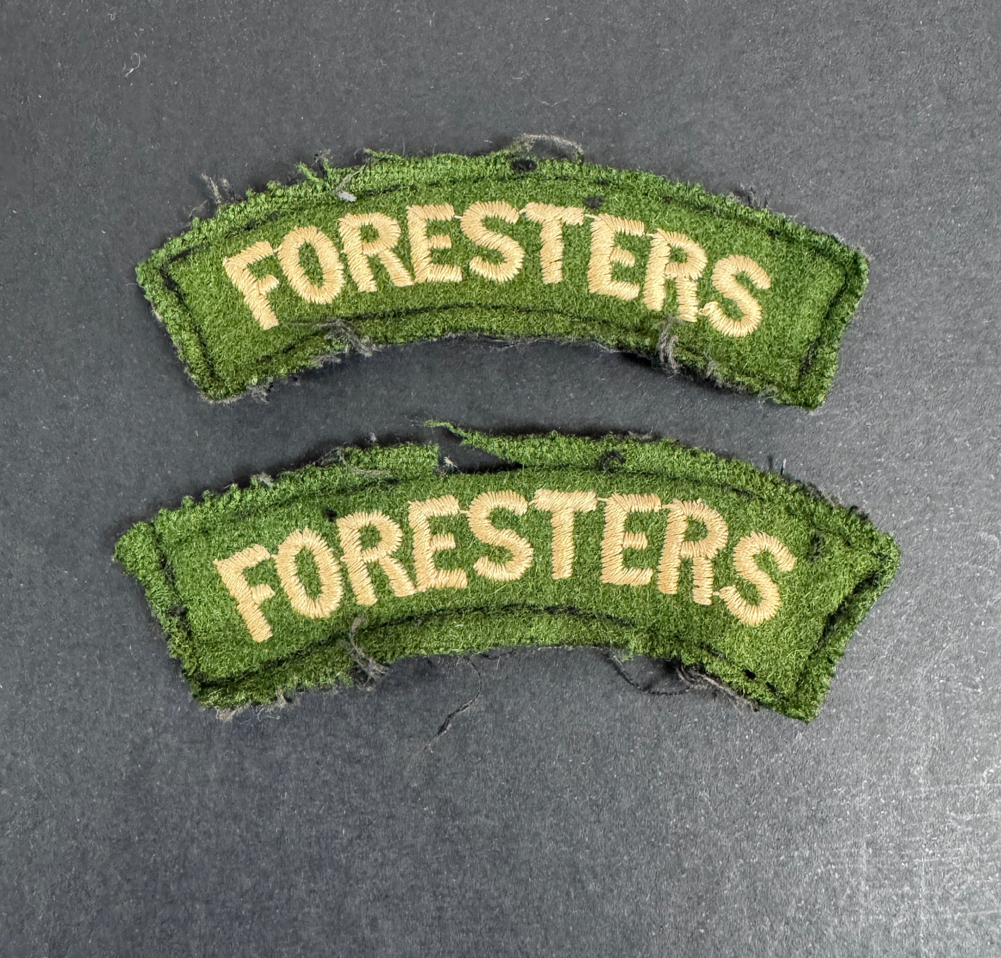British Army Notts & Derby Regiment (Sherwood Foresters) Shoulder Title Badges