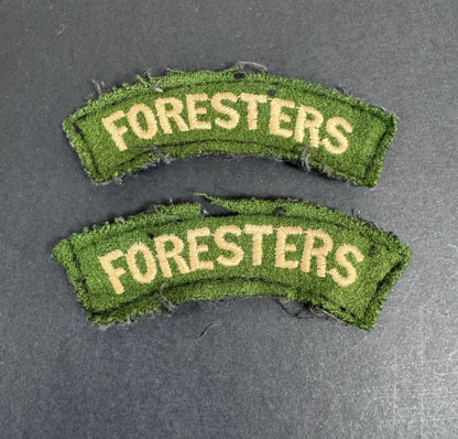 British Army Notts & Derby Regiment (Sherwood Foresters) Shoulder Title Badges