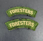 British Army Notts & Derby Regiment (Sherwood Foresters) Shoulder Title Badges