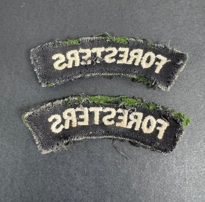 British Army Notts & Derby Regiment (Sherwood Foresters) Shoulder Title Badges