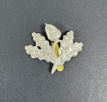 British Army South Notts Hussars Yeomanry Cavalry Cap Badge