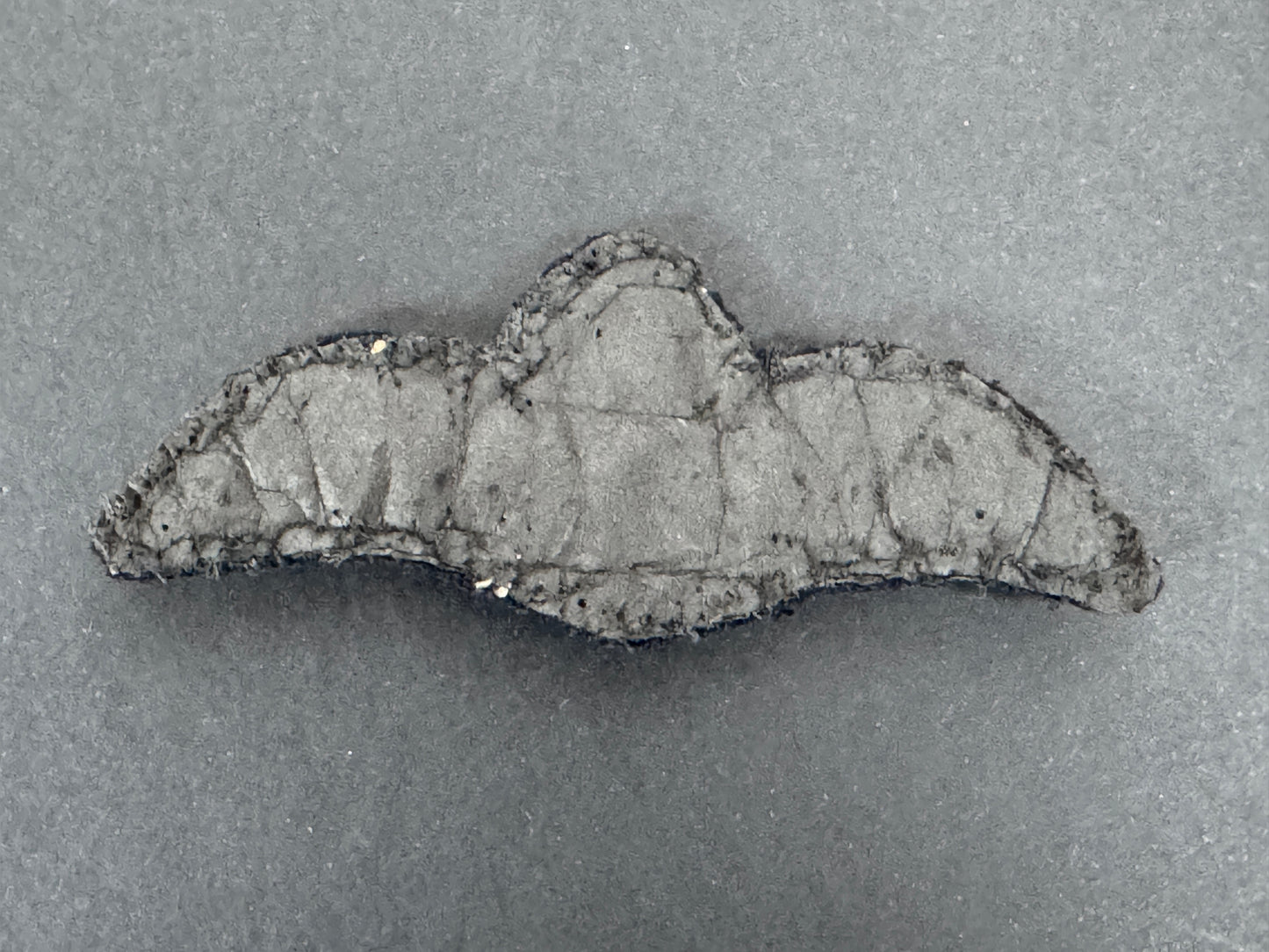 WW2 British Royal Air Force Pilot Wing Cloth Breast Badge
