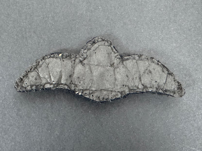 WW2 British Royal Air Force Pilot Wing Cloth Breast Badge