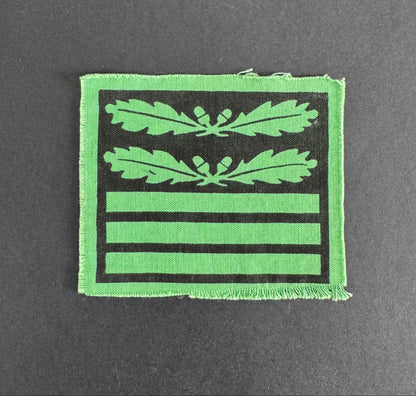 WW2 German Waffen SS Standartenführer Officer's Camouflage Rank Badge