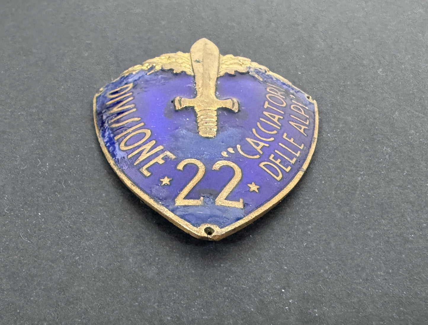 Italian Divisione 22 "Cacciatori Delle Alpi" Officer's Arm Shield Badge