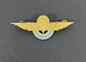 Argentine Air Force Officer's Parachute Wings Badge
