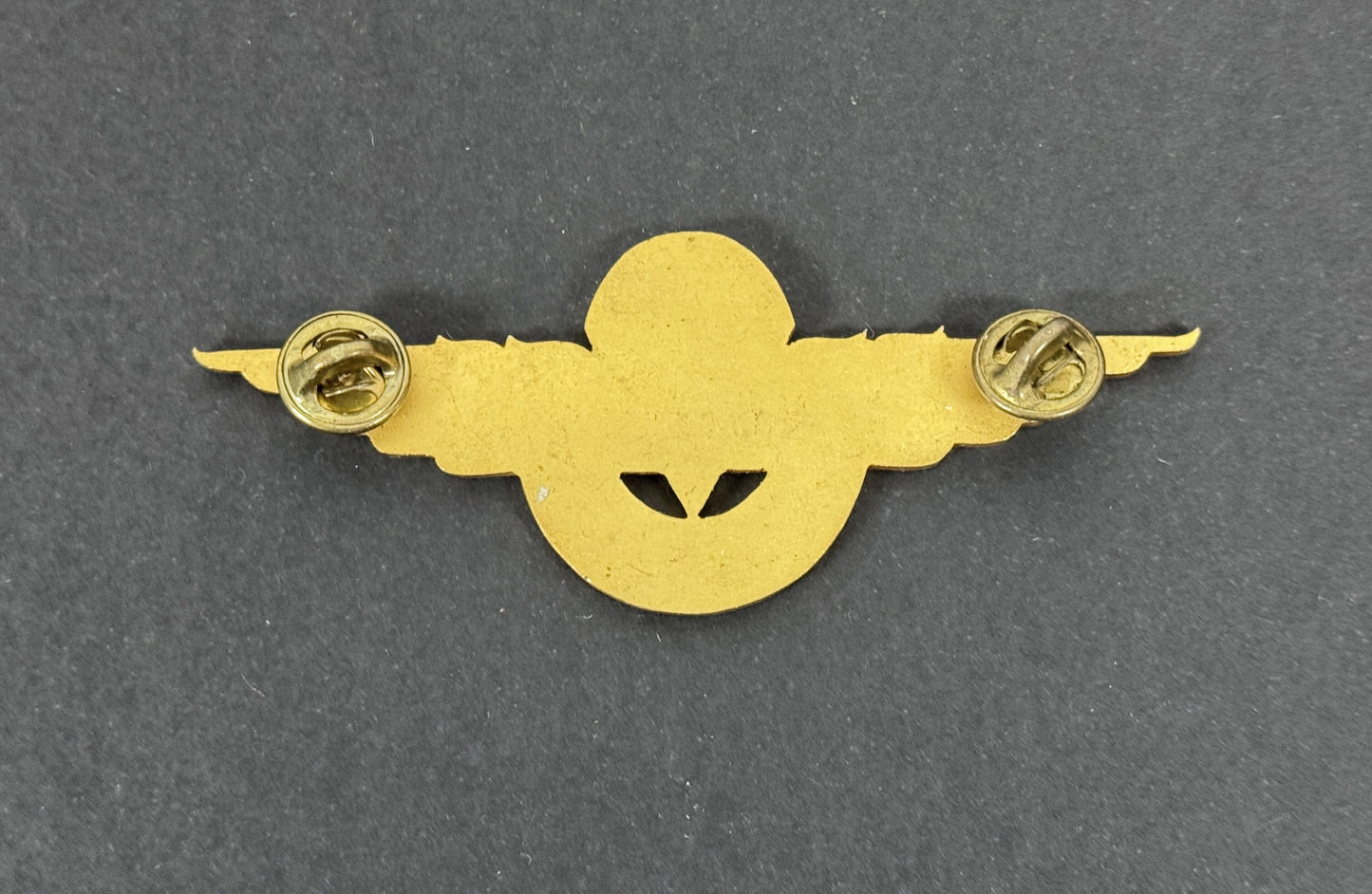 Argentine Air Force Officer's Parachute Wings Badge