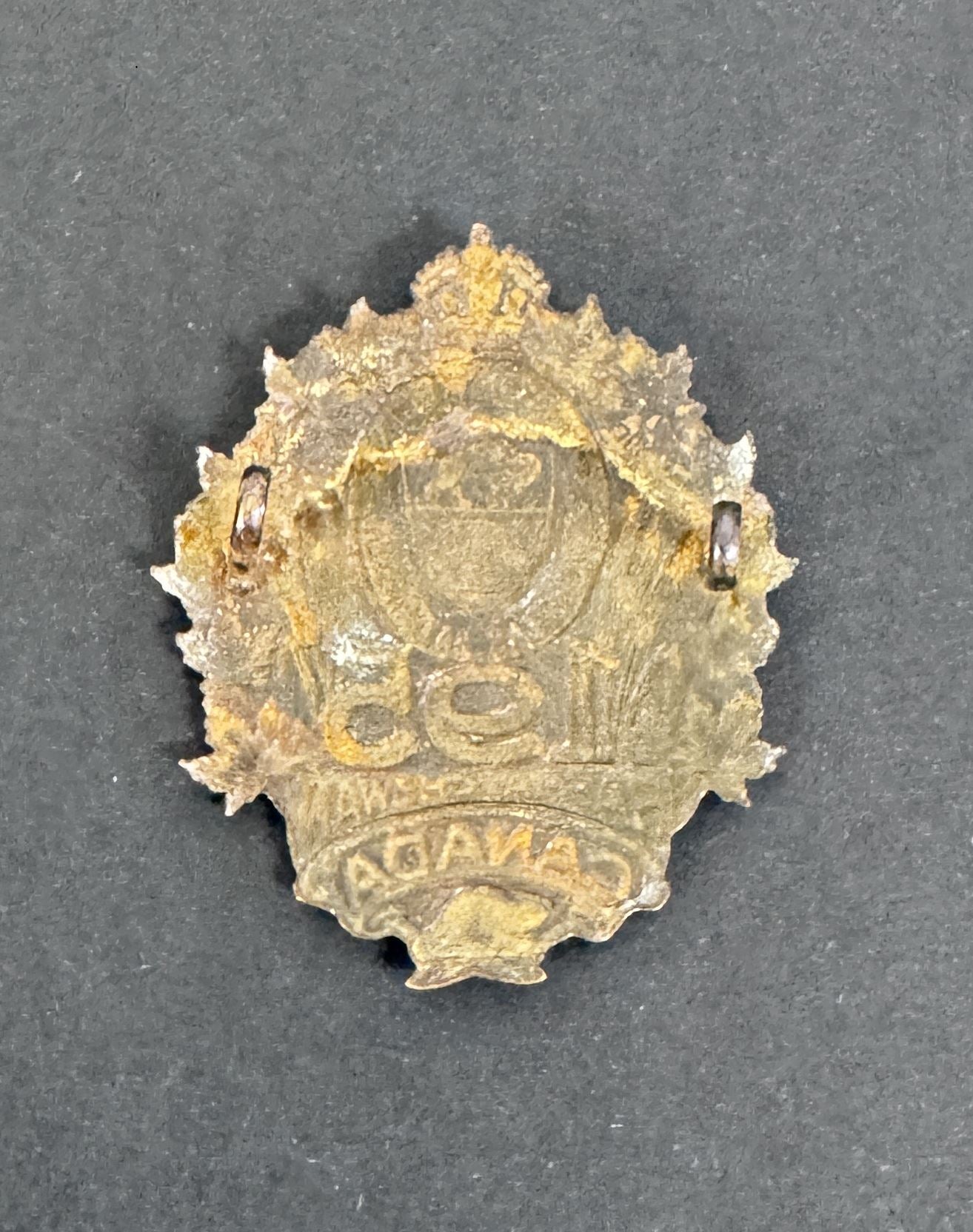 WW1 Canadian CEF 195th Infantry Battalion City of Regina Cap Badge