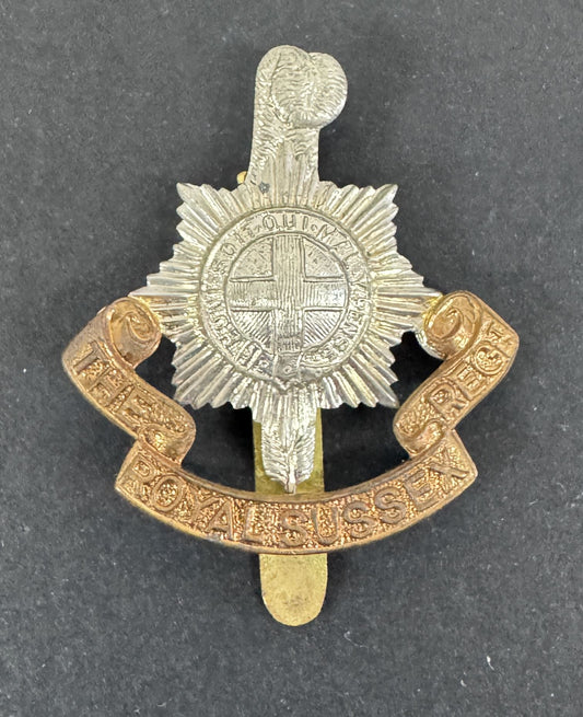 Metallic cap badge with intricate design on a dark background