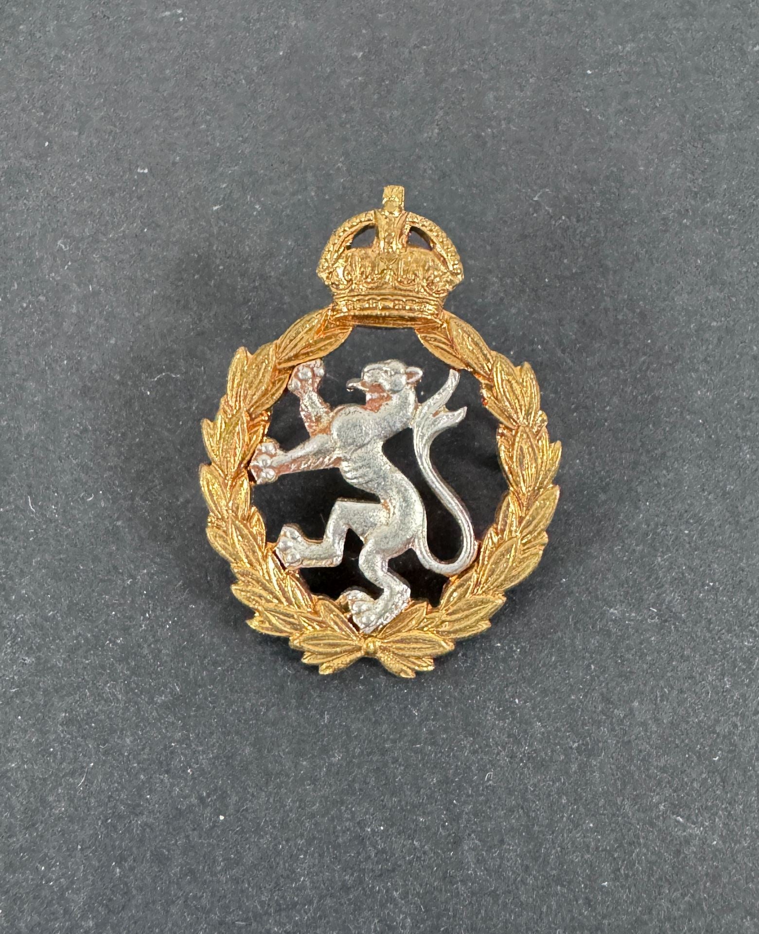 Decorative emblem with a lion and crown on a dark background