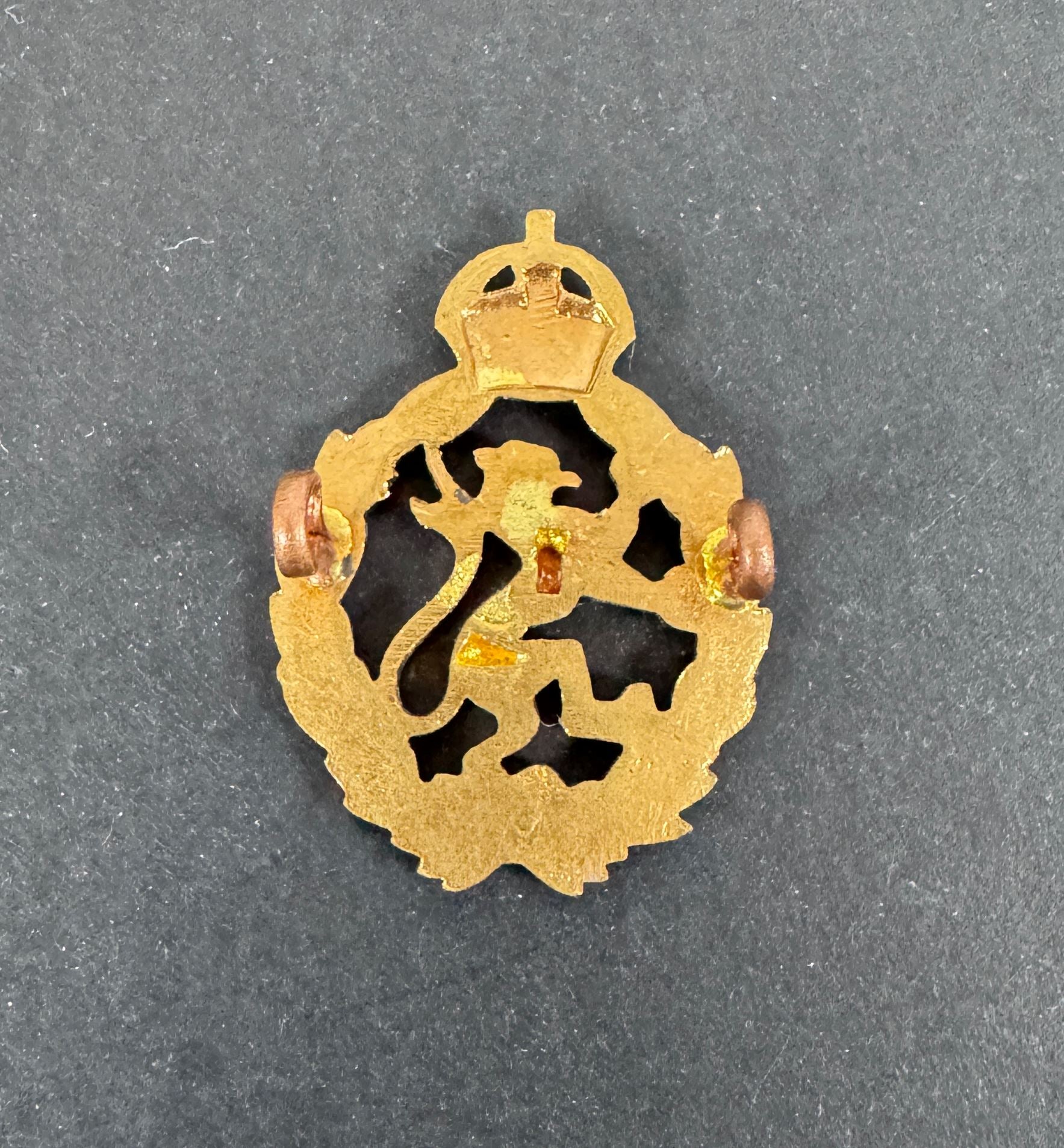 Decorative emblem with a lion and crown on a dark background reverse view.