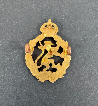 Decorative emblem with a lion and crown on a dark background reverse view.