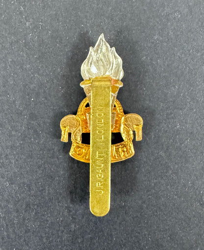 British Army Royal Army Educational Corps (RAEC) Cap Badge