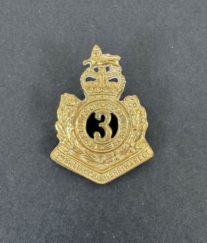 Australian Army 3rd Battalion Werriwa Regiment Cap Badge