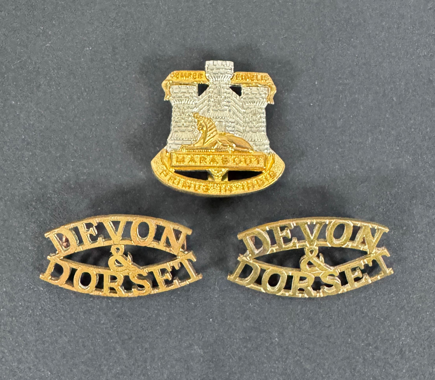 British Army Devon & Dorset Regiment Cap Badge & Shoulder Title Badges