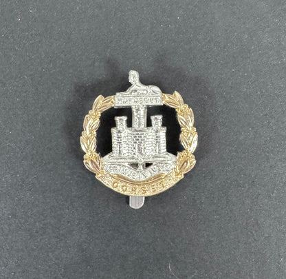 British Army Dorset Regiment Staybrite Cap Badge