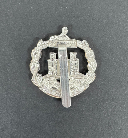 British Army Dorset Regiment Staybrite Cap Badge