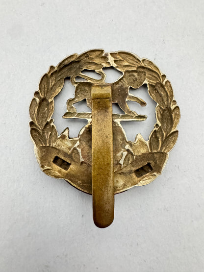 WW2 British Army Hampshire Regiment Cap Badge