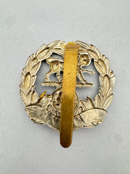 WW1 British Army Hampshire Regiment Cap Badge