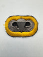 United States Army 101st Airborne Division Parachute Qualification Badge