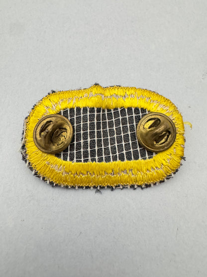United States Army 101st Airborne Division Parachute Qualification Badge