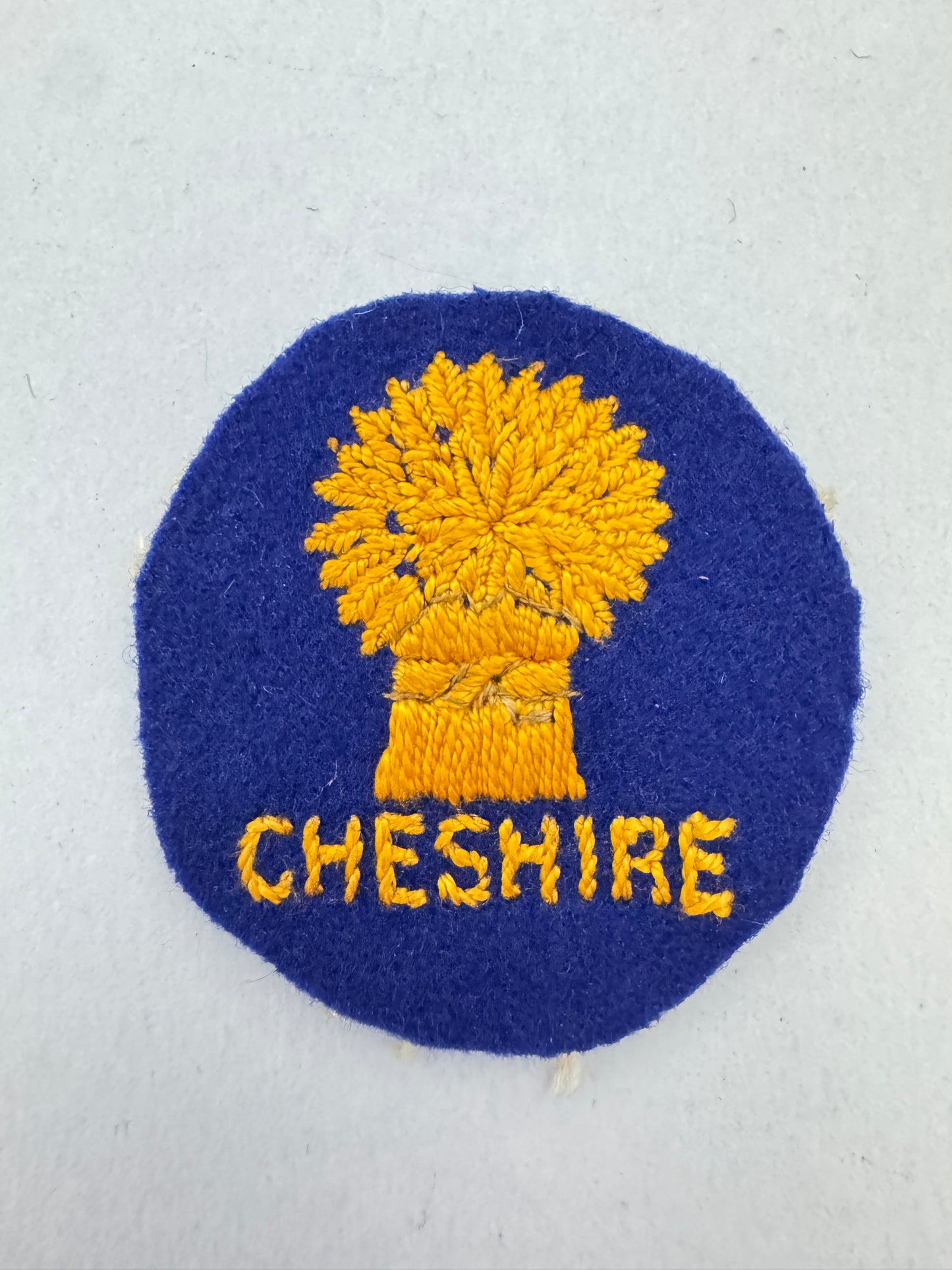 British Army 113th (Cheshire) Assault Engineer Regiment Formation Sign