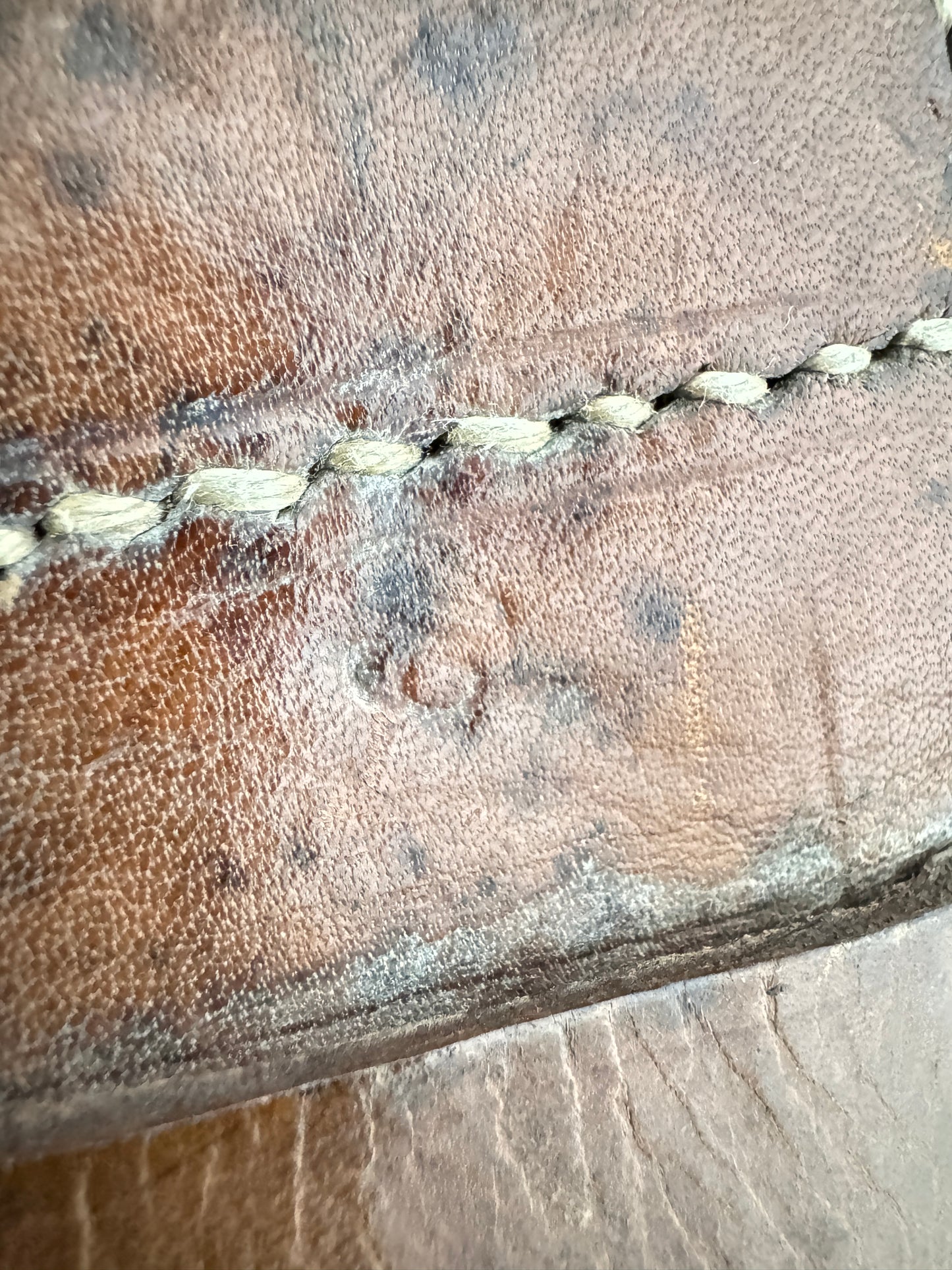 WW2 Polish Army Mosin Nagant Leather 2 Cell Ammo Pouch