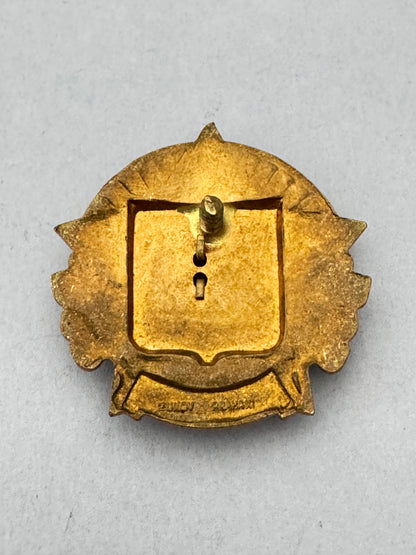 Czechoslovak CSR Exemplary Border Guard Badge NEPROJDOU!
