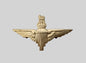 WW2 British Army Parachute Regiment Cap Badge