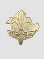 Boy Scouts India Cap Badge British Colonial Era