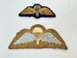 British Army Parachute Regiment Airborne Wings