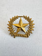 WW1 New Zealand Army 17th Ruahine Regiment Cap Badge
