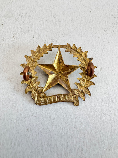 WW1 New Zealand Army 17th Ruahine Regiment Cap Badge