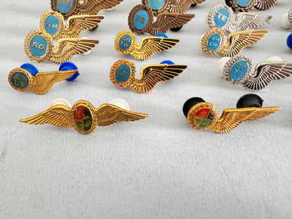 South African Air Force Pilot & Aircrew Wing Brevet Badges