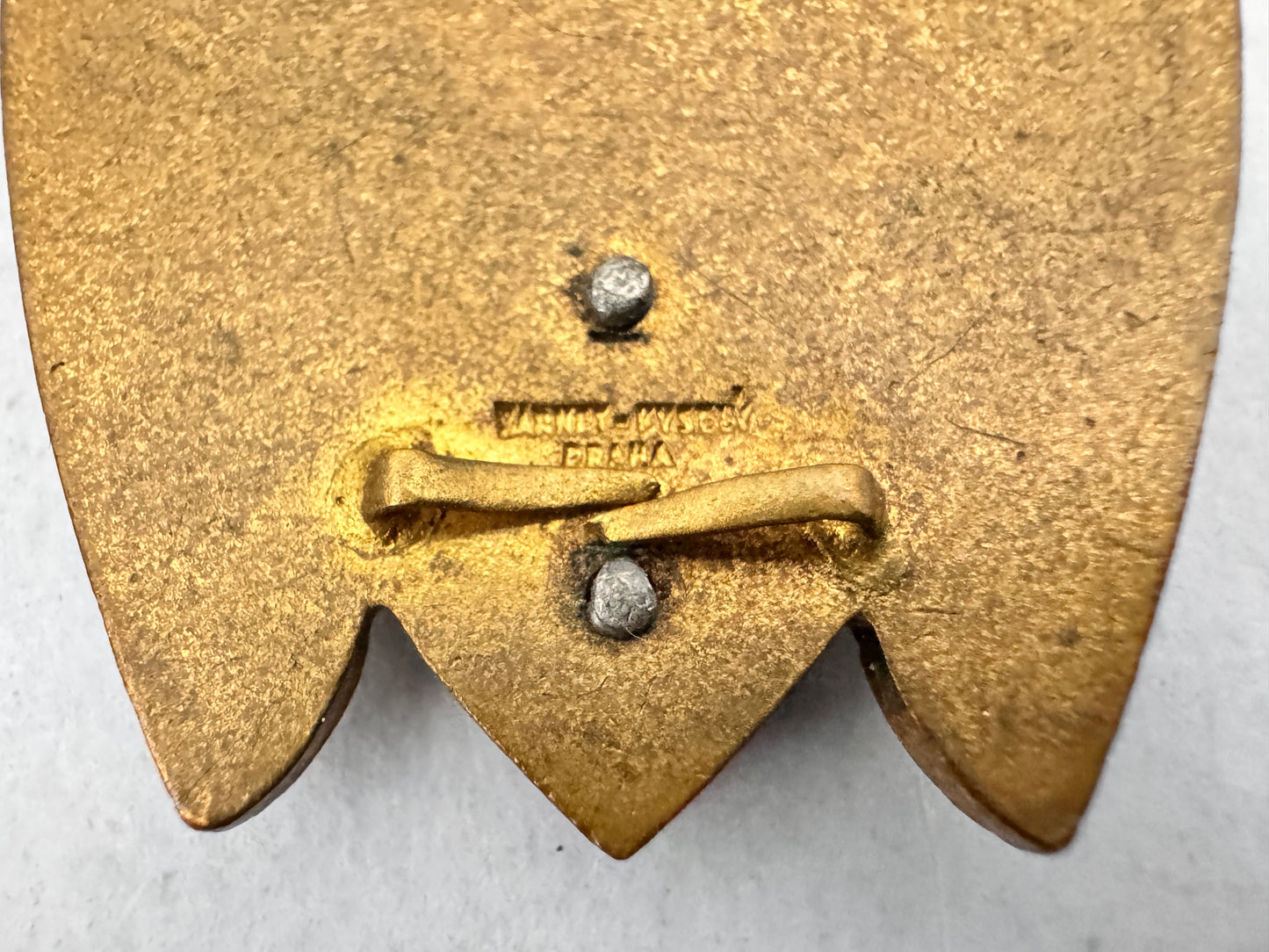 Czechoslovak Army 2nd Siberian Cavalry Regiment Olomouc Honour Badge
