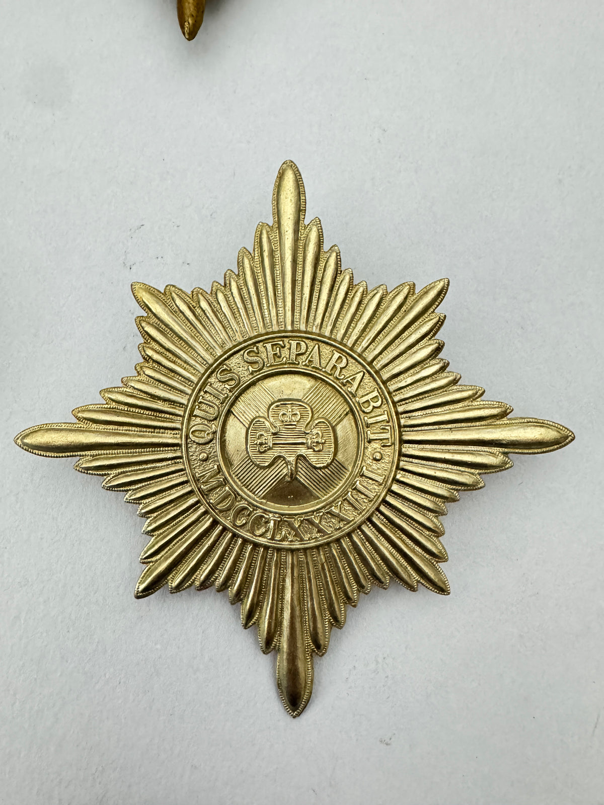 WW1 British Army Coldstream Grenadier Scots Irish Guards Valise Badge Insignia