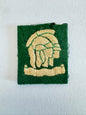 WW2 British Army 163rd Officer Cadet Training Unit Formation Sign Arm Badge