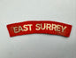 WW2 British Army East Surrey Regiment Paste Back Cloth Shoulder Title