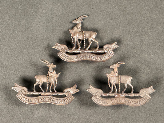 Photo 1 of WW1 Royal Warwickshire Regiment Officer's Cap Badge & Collar Badges - collectible militaria item