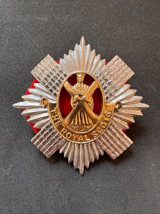 Royal Scots Regiment Anodized (Staybrite) Glengarry Cap Badge